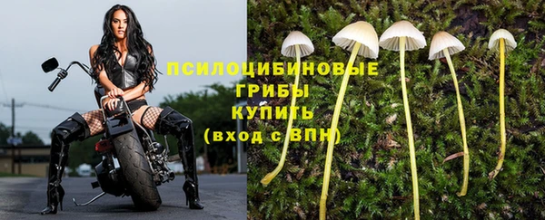 MDMA Premium VHQ Абаза