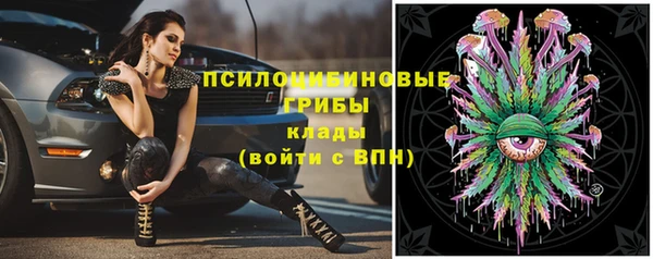 Альфа ПВП Алзамай