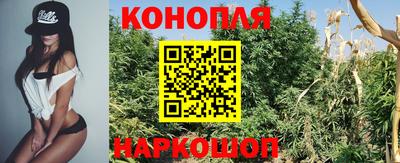 гидра Ликино-Дулёво