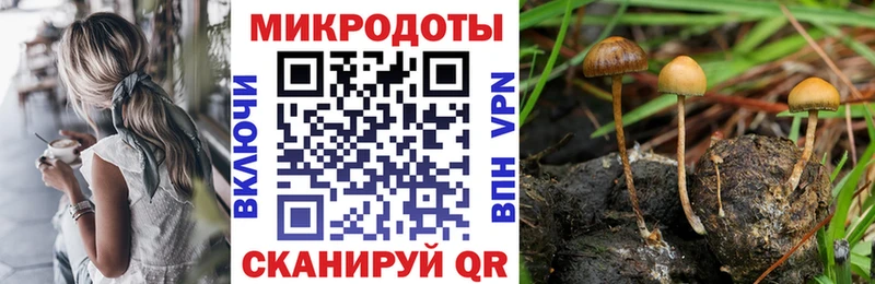 Псилоцибиновые грибы мухоморы  Пенза 