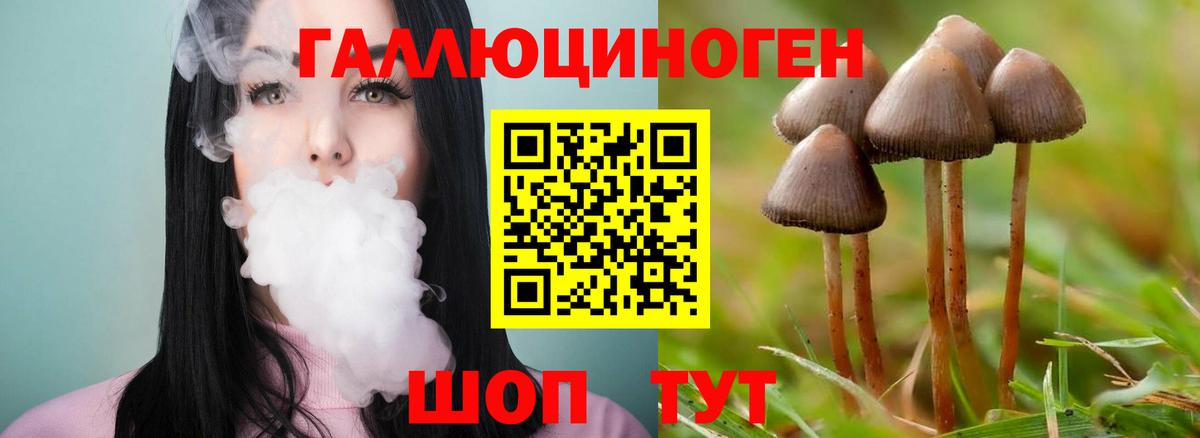 где купить наркотик  Вход с VPN  Пенза  Галлюциногенные грибы Psilocybine cubensis 